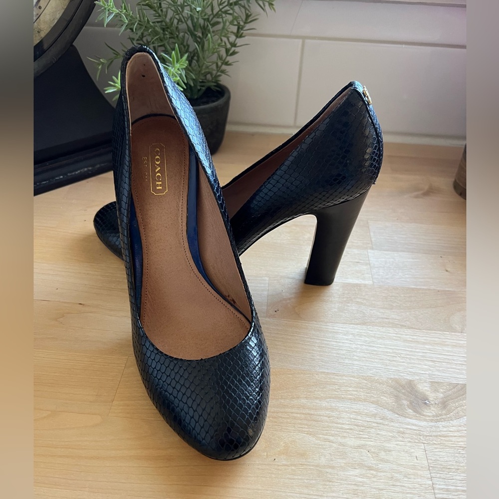 Black snakeskin heels by Coach